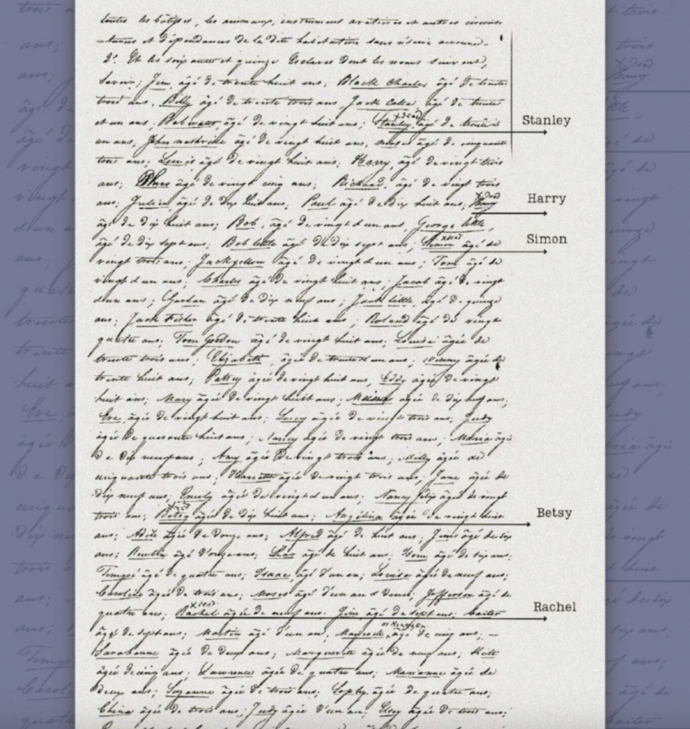 Genealogist IDs remains at Formosa site as enslaved people Verite News